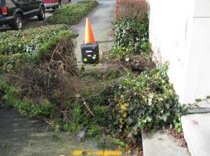 Hidden backflow assembly (2 of 6)